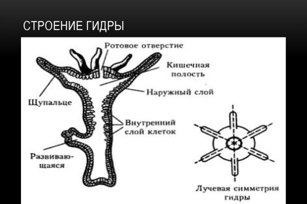 Кракен даркнет тг