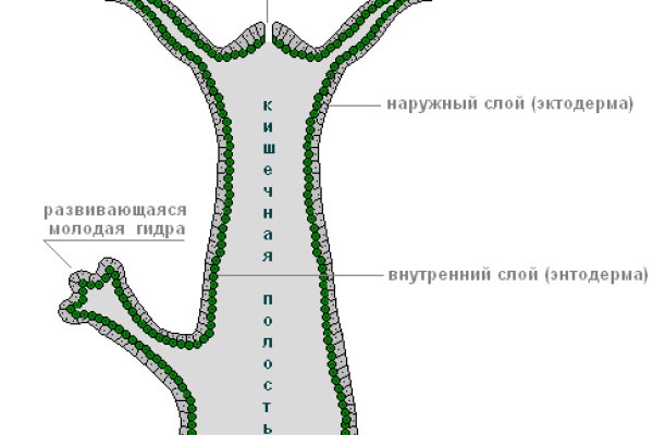 Настоящий сайт kraken