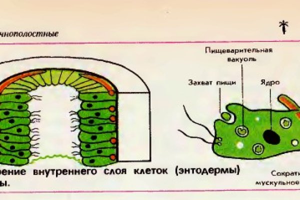 Кракен нет